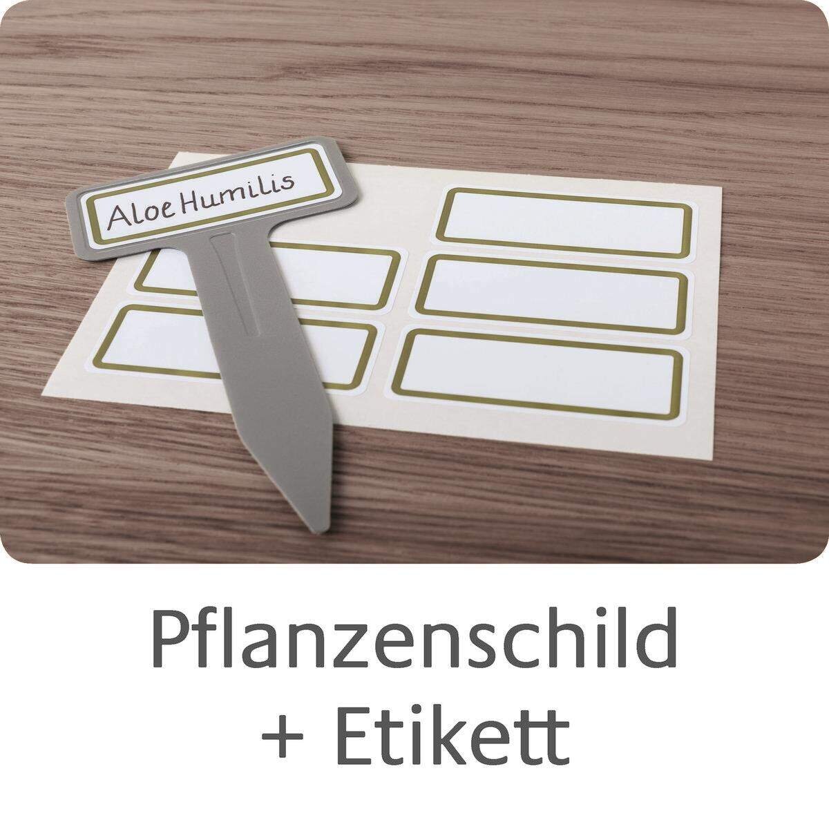 avery-zweckform-62028-beschreibbare-pflanzenschilder-7D8FF2175.jpg