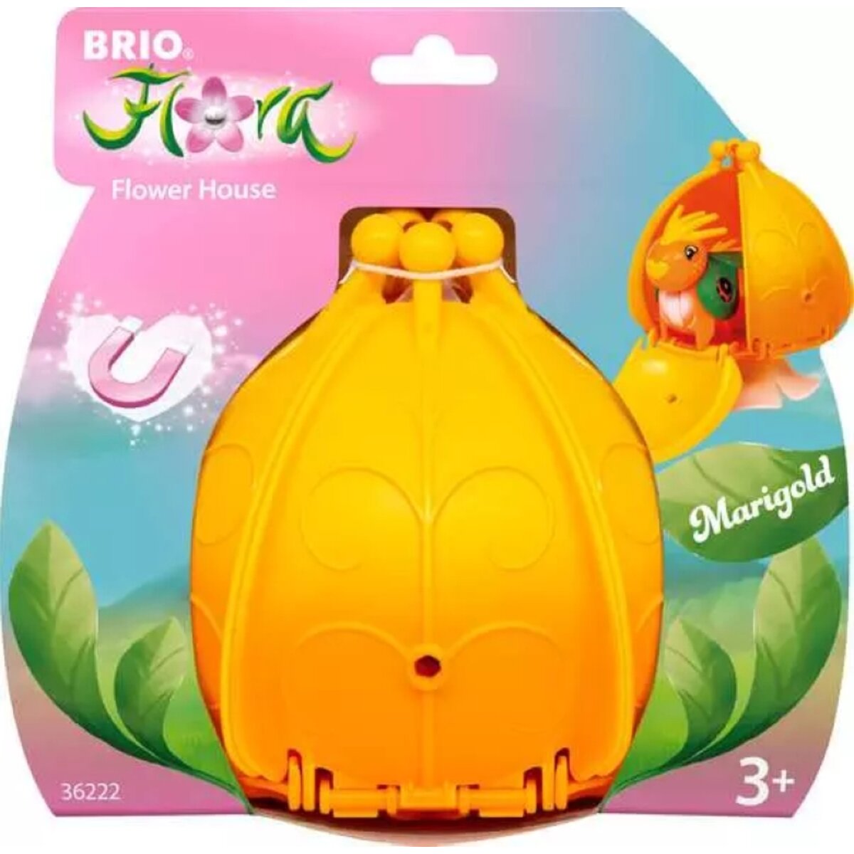 brio-flora-marigolds-blumenhaus-F85290804.jpg