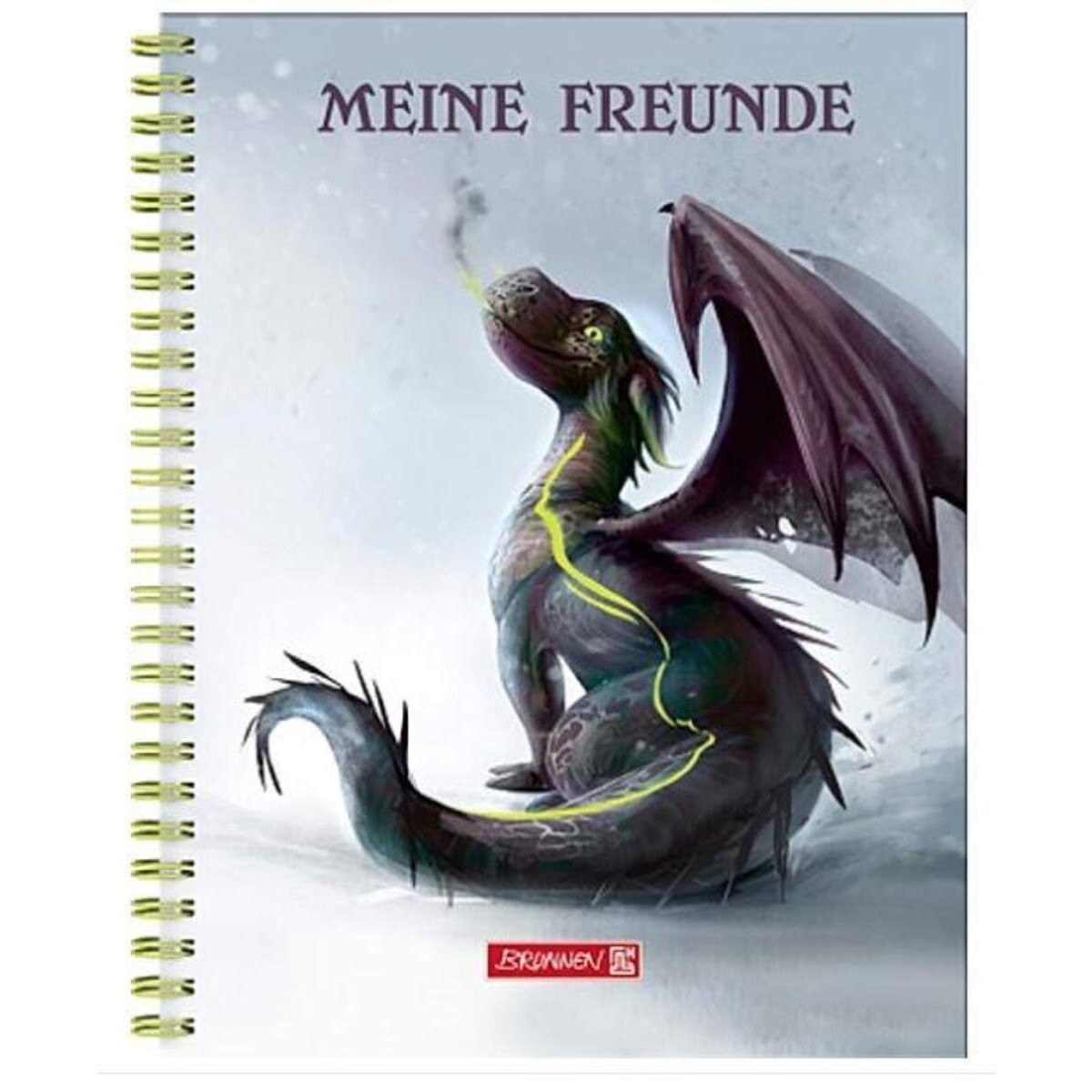brunnen-freundebuch-drache-drago-165-8DE2D5701.jpg