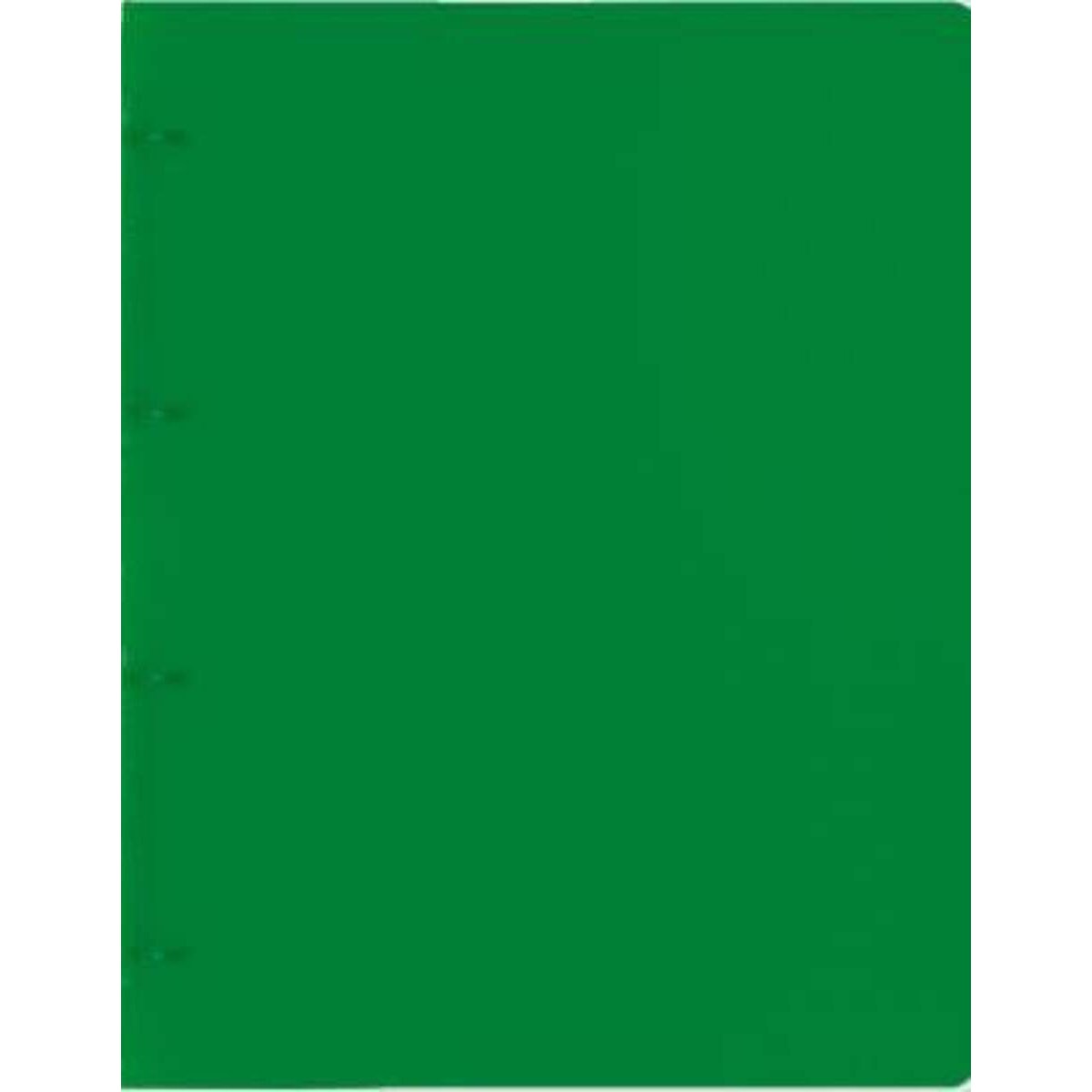 brunnen-ringbuch-factpp-gruen-a4-22D53F1E1.jpg