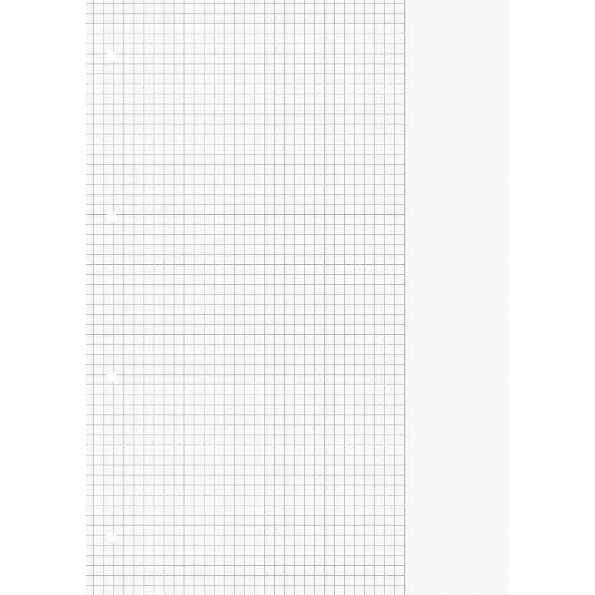 BRUNNEN Schulblock A4 kariert, mit Rand, Lineatur 26