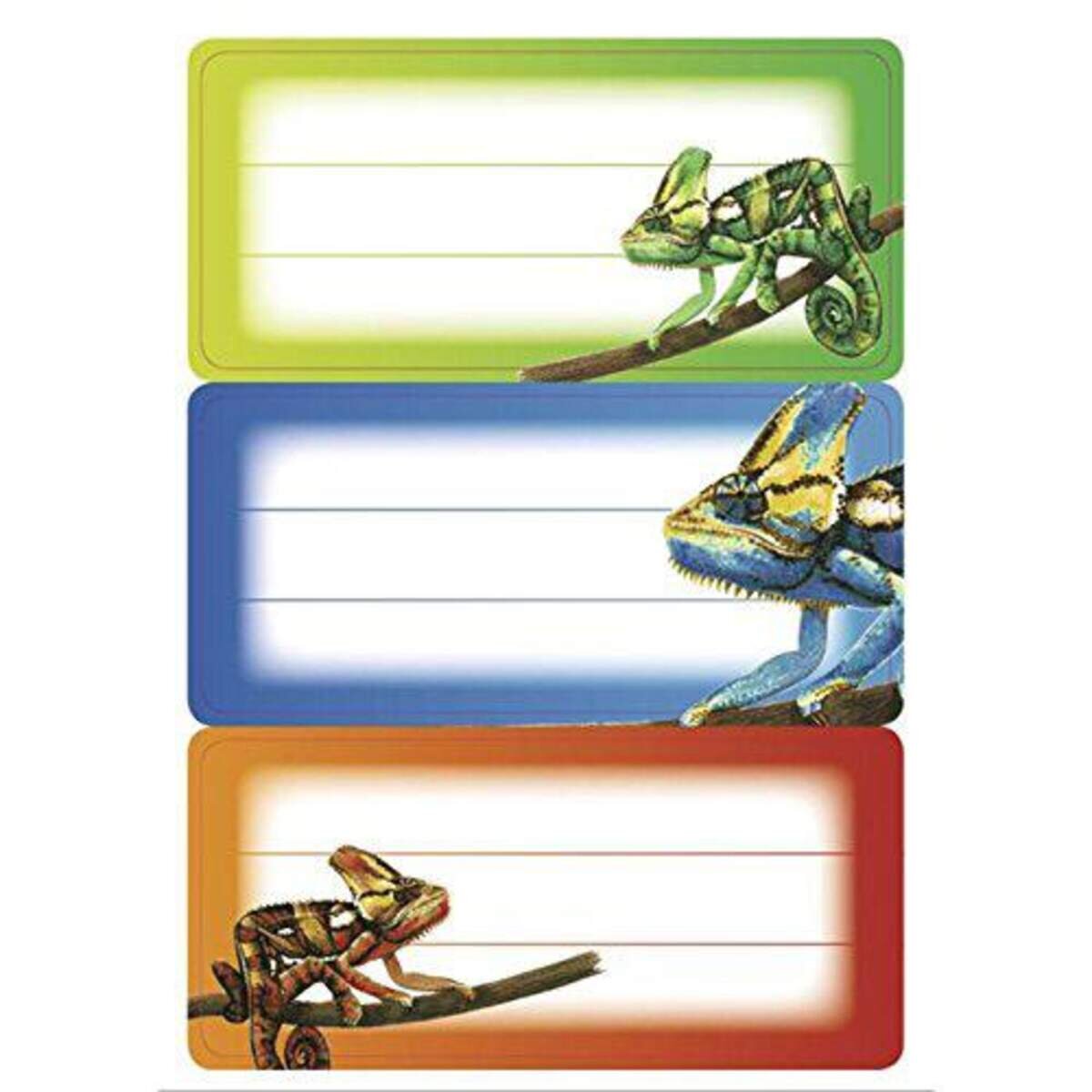 herma-schuletiketten-gecko-2B54A3411.jpg