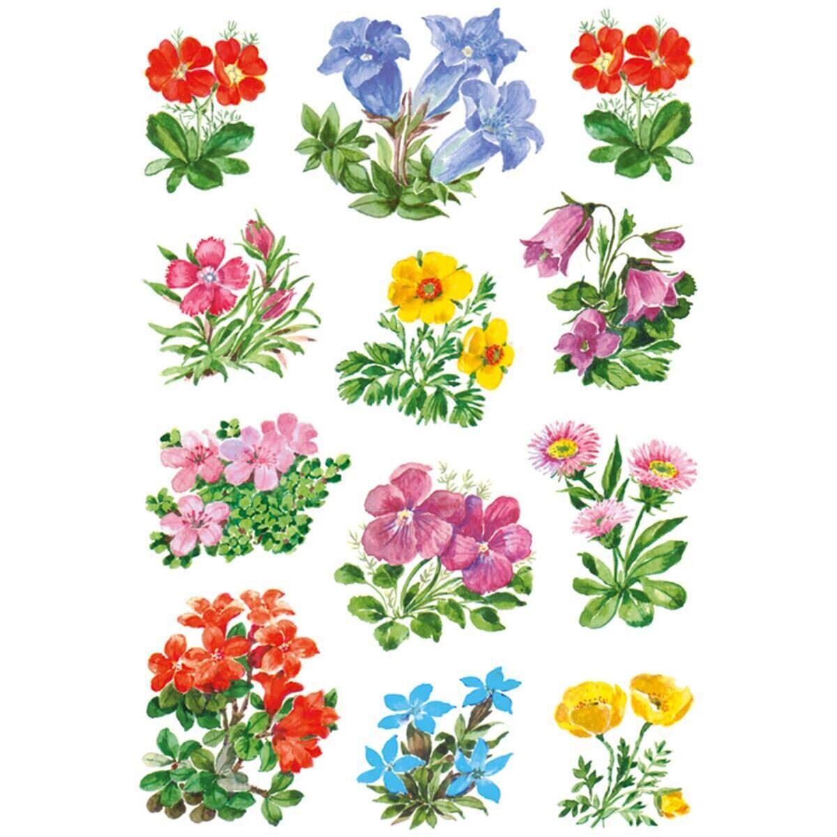 herma-sticker-gebirgsblumen-3F7F05971.jpg