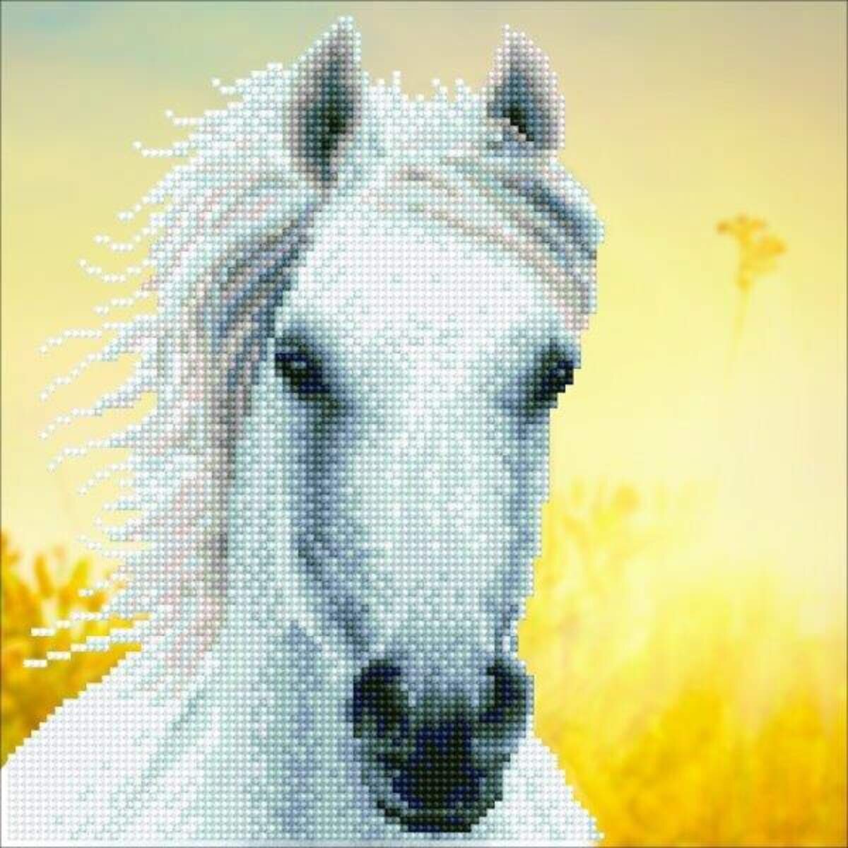 pracht-diamond-dotz-weisses-pferd-B8BAD4AC2.jpg