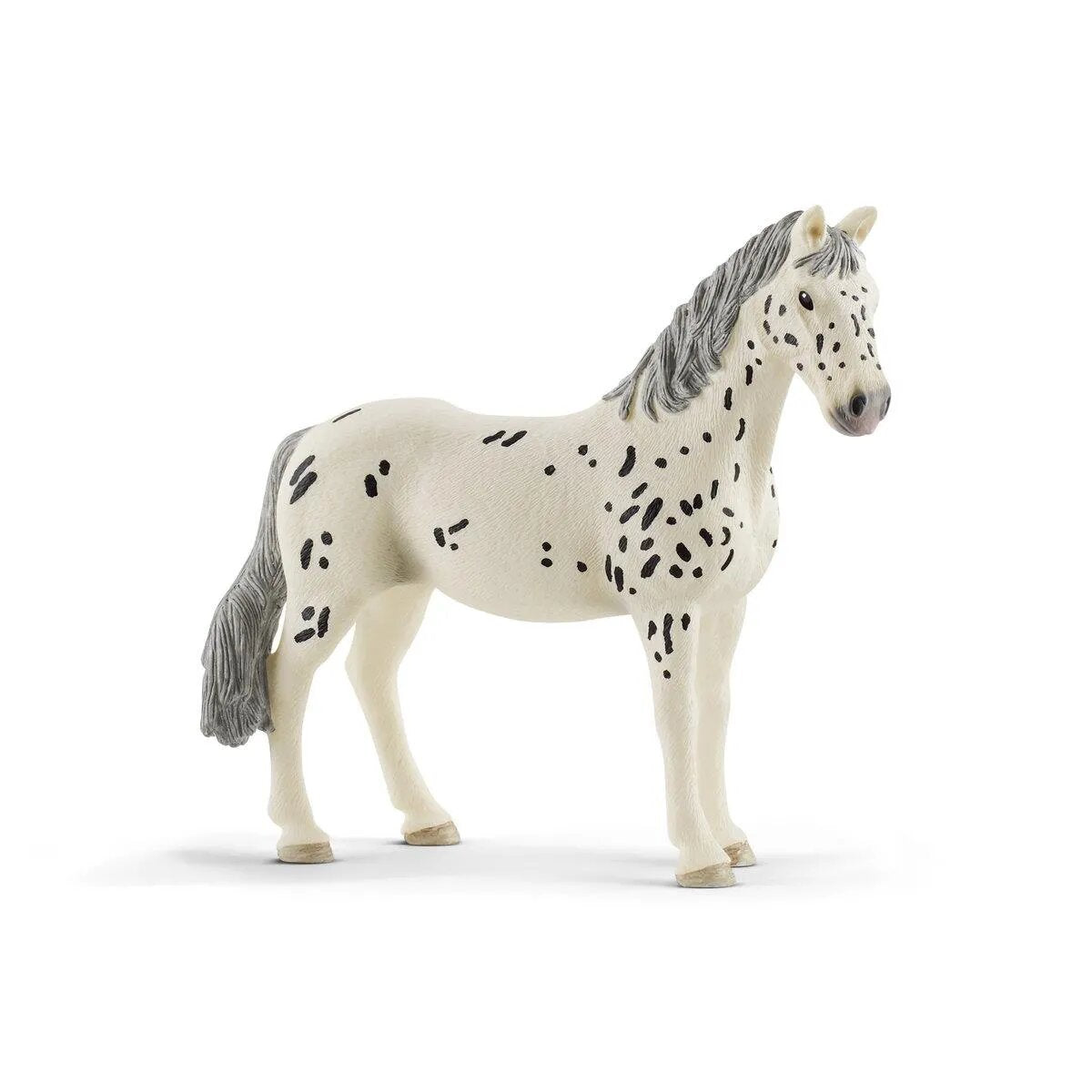 schleich-13910-horse-club-knabstrupper-F1C2CA161.jpg