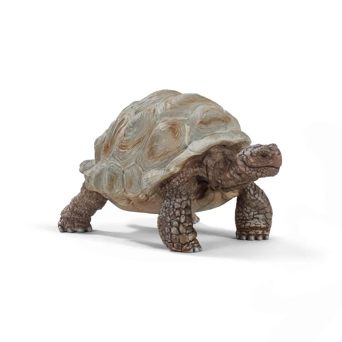 schleich® WILD LIFE 14824 Riesenschildkröte