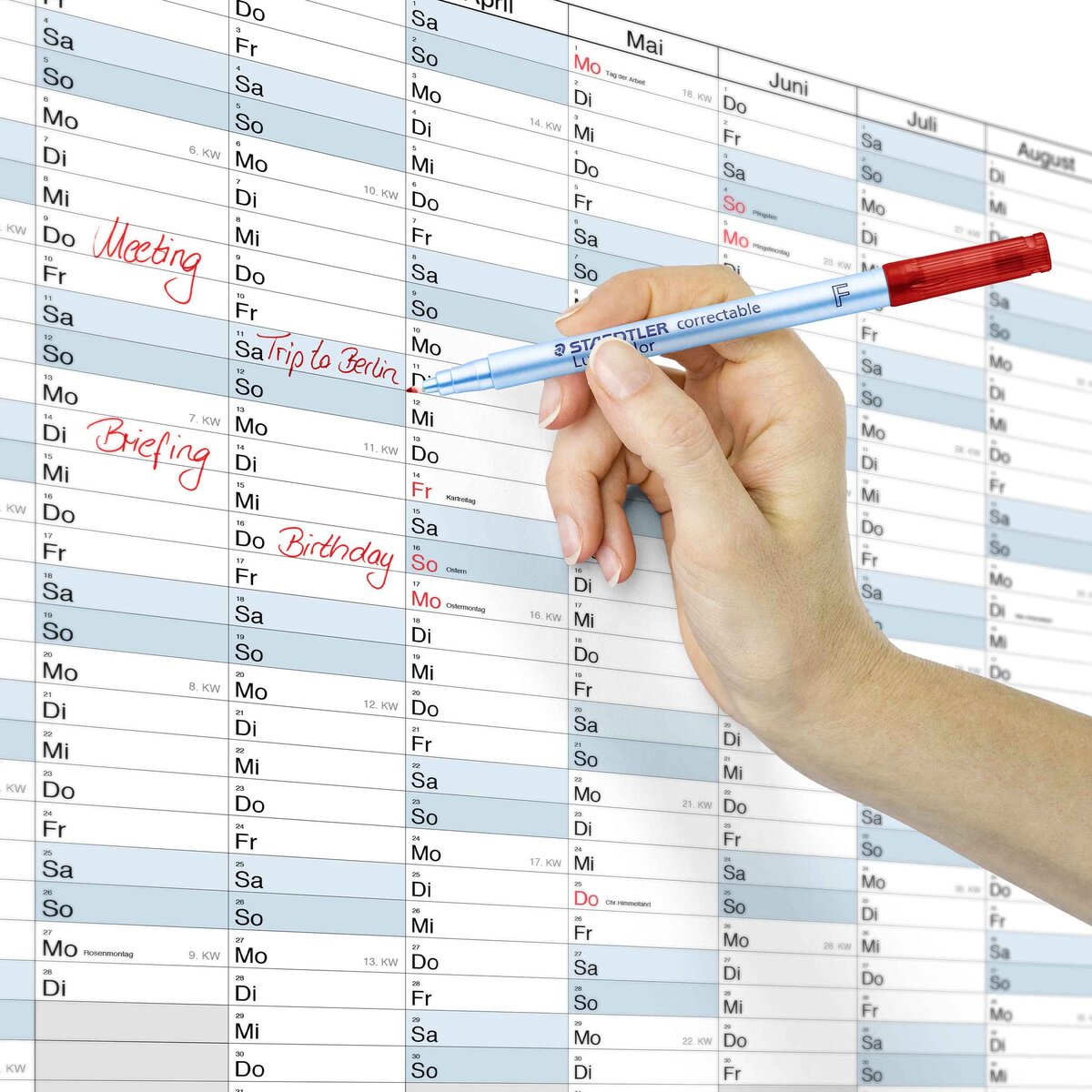 STAEDTLER® Lumocolor® correctable 305 Trocken abwischbarer Universalstift, schwarz, Linienbreite M