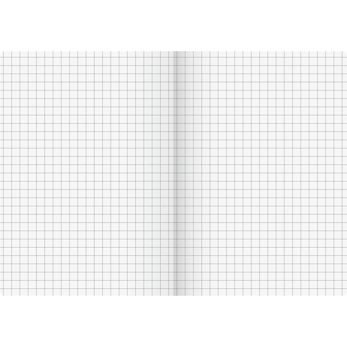 BRUNNEN Heft FACT!plus A6 kariert braun