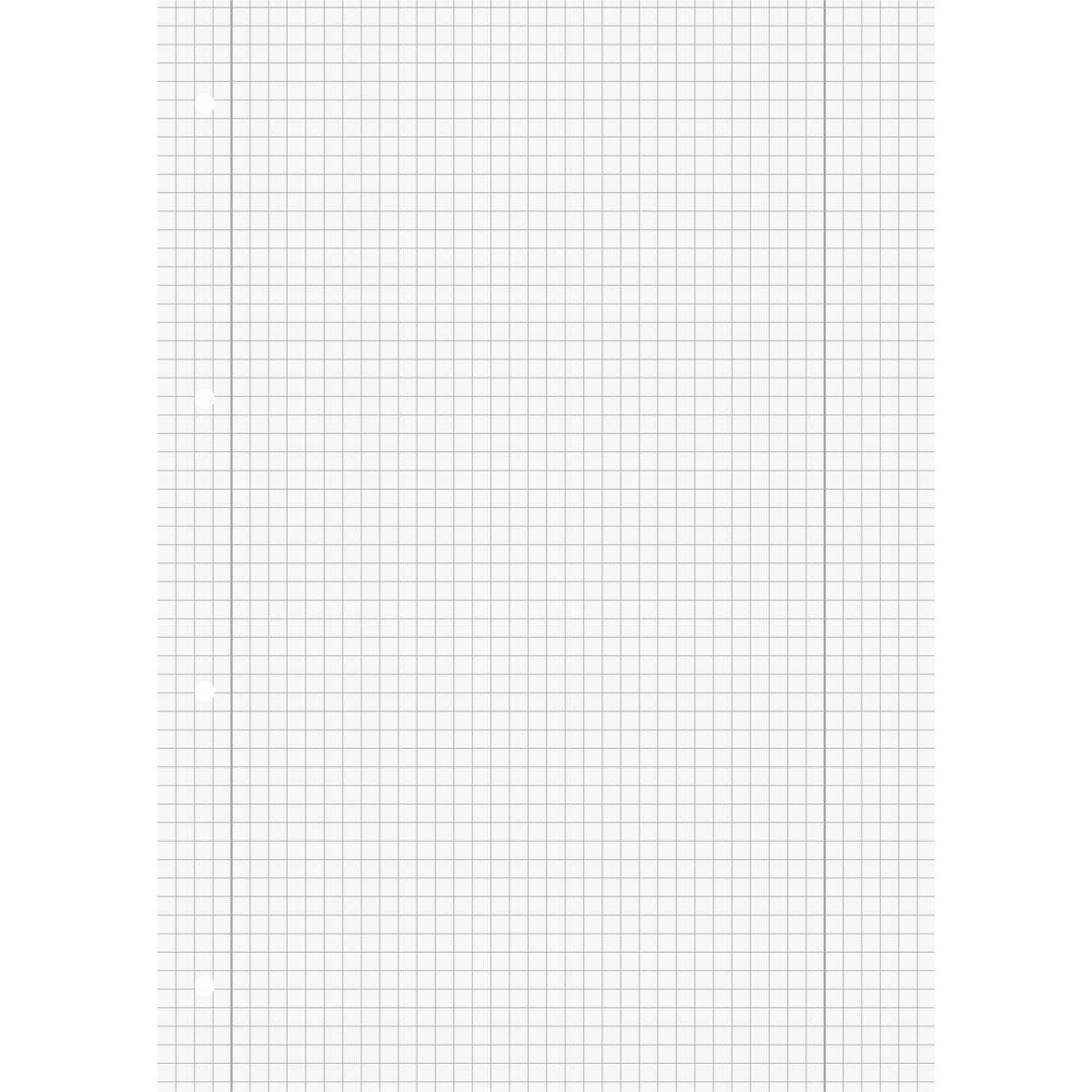 BRUNNEN Schulblock A4 50 Blatt, gelocht, Lineatur 28