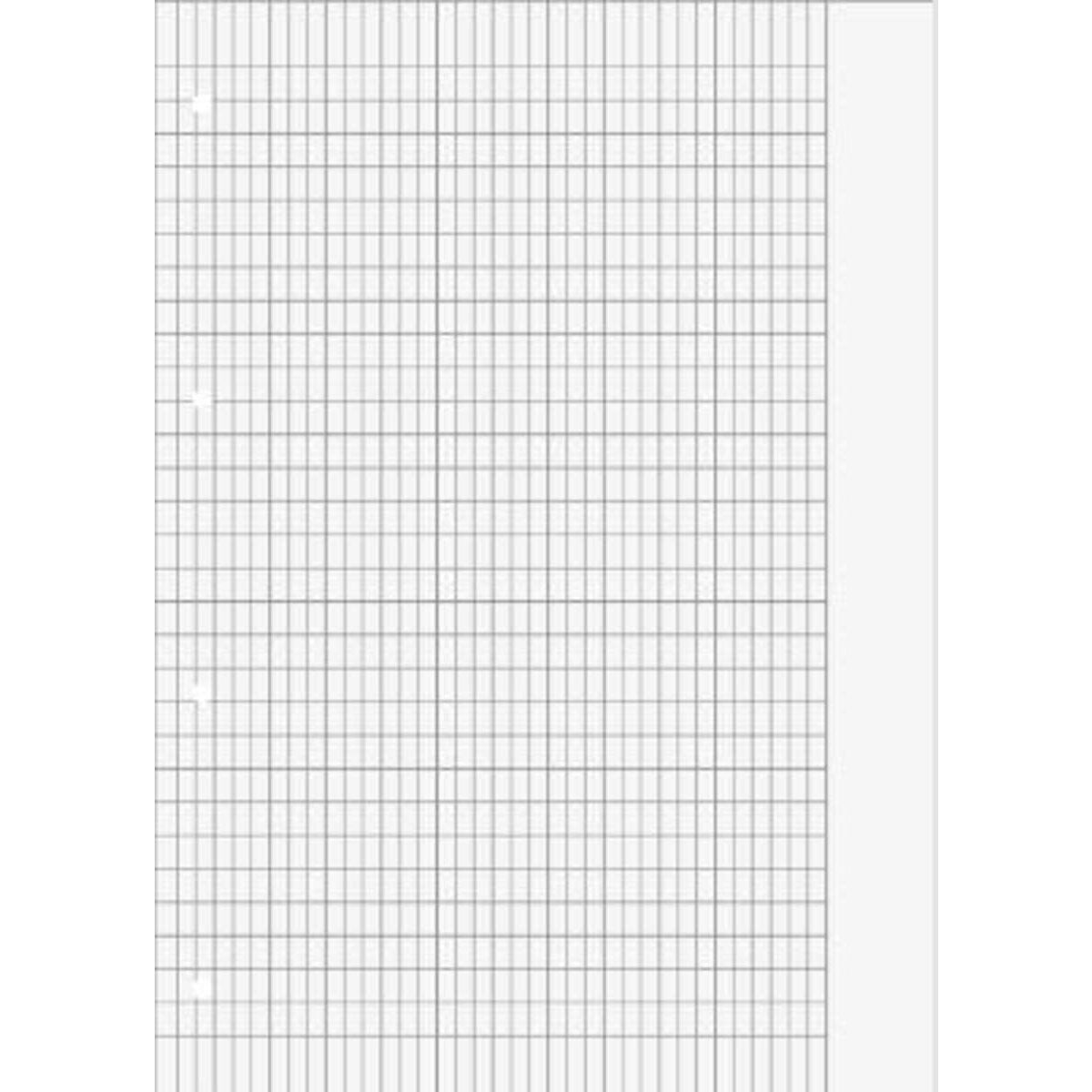 BRUNNEN Schulblock A4 Premium 50 Blatt, gelocht, Lineatur 8f