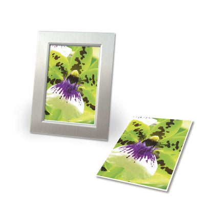 Avery Zweckform 2559-20 Premium Inkjet Fotopapier, DIN A4, einseitig beschichtet, 250 g/m², 20 Blatt