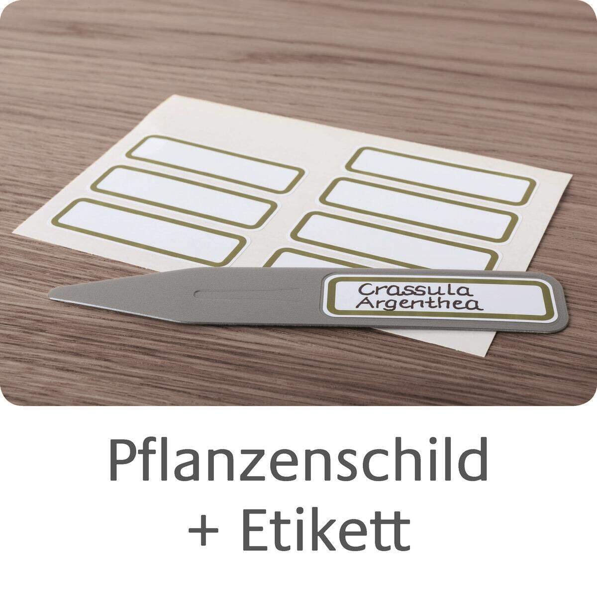 avery-zweckform-62029-beschreibbare-pflanzenschilder-2DBCB6515.jpg