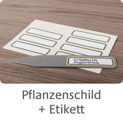 avery-zweckform-62029-beschreibbare-pflanzenschilder-2DBCB6515.jpg