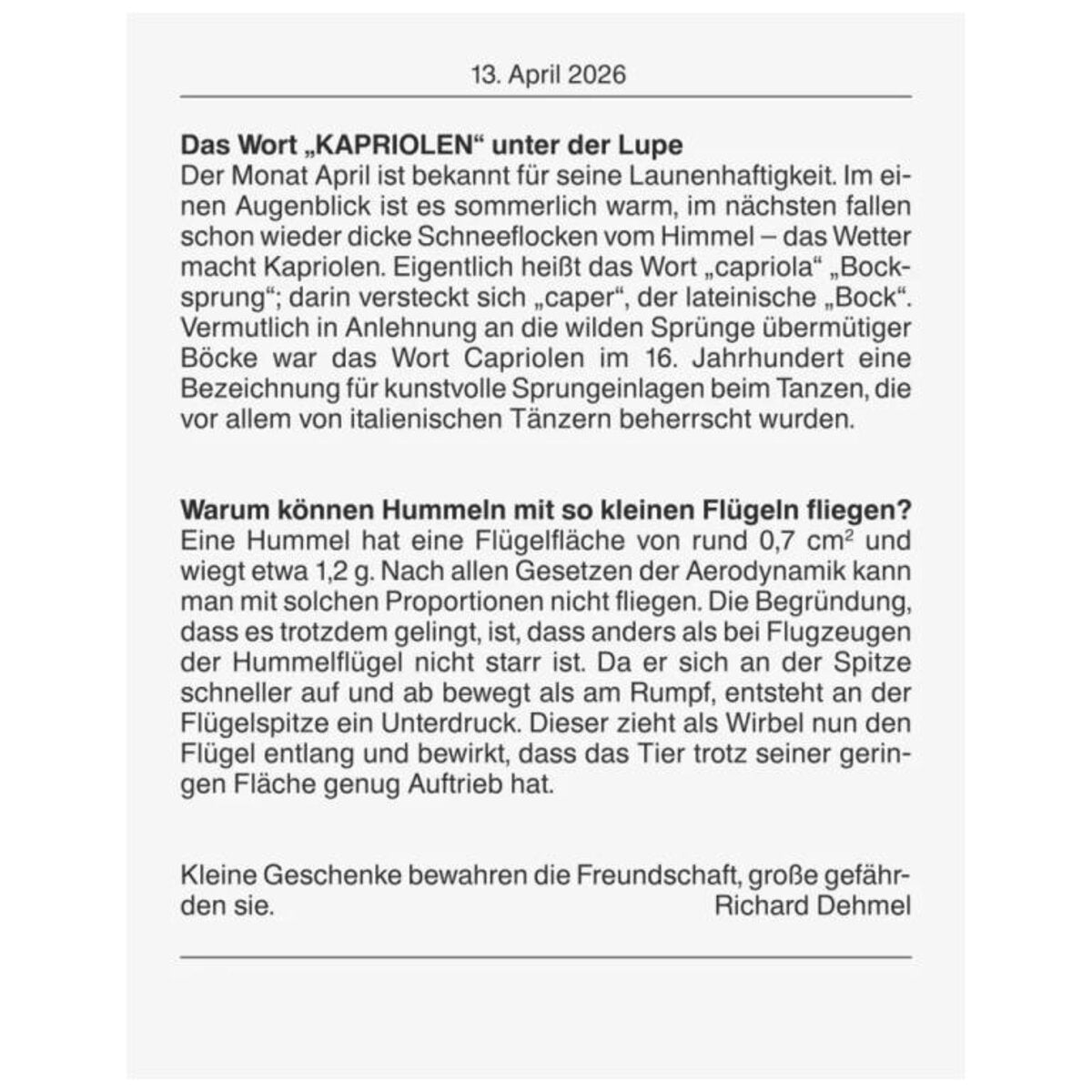 BRUNNEN Abreißkalender 2026 98 × 142 mm Nr. 13 mit Wochennr. Wissenswertes uvm.