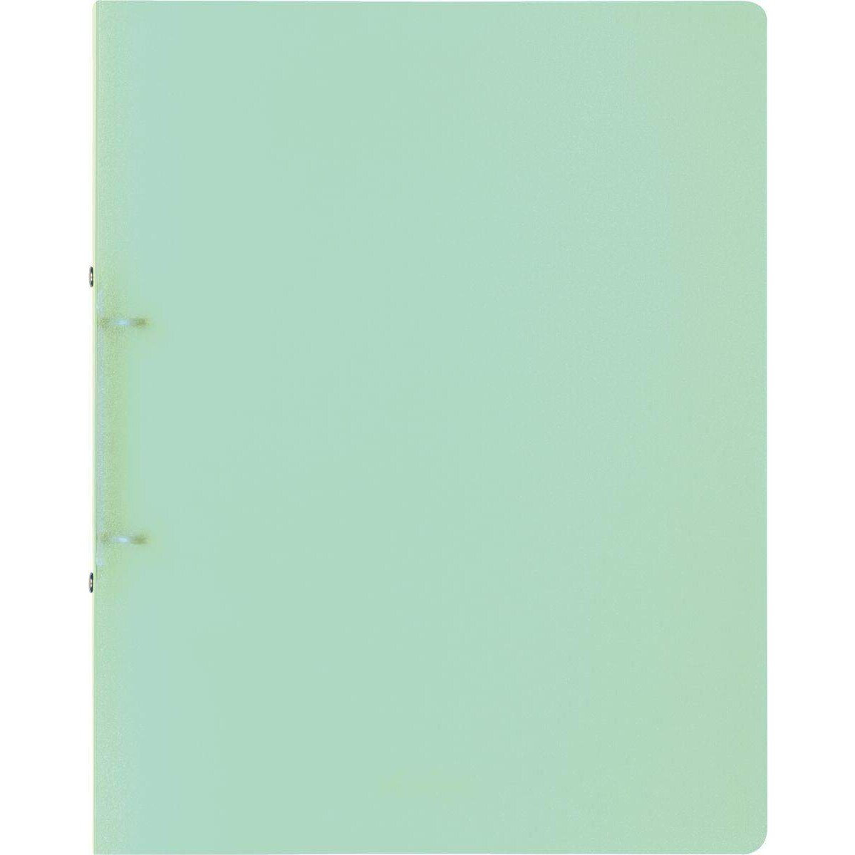 BRUNNEN Ringbuch A4 FACT! 16mm 2Ringe grün