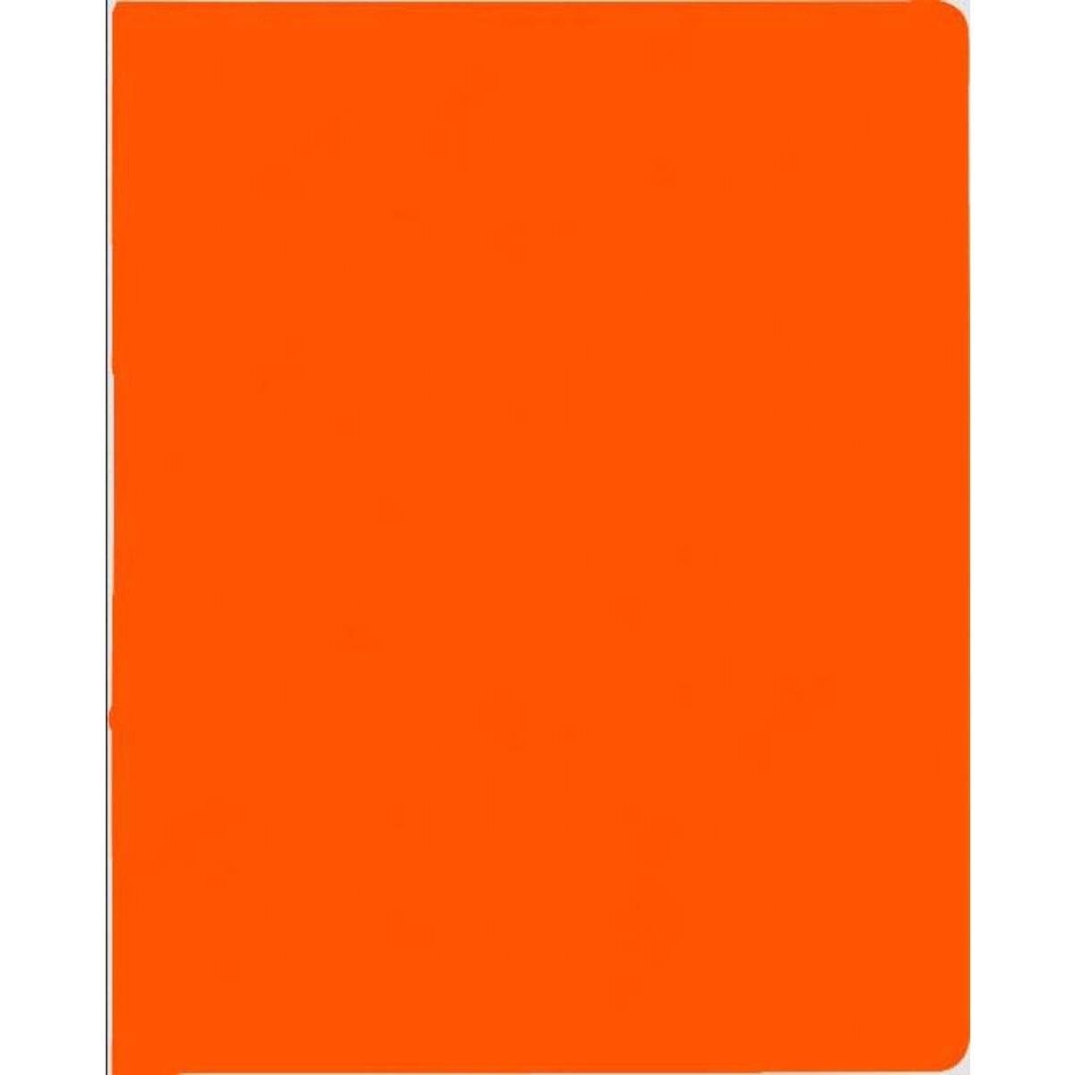 BRUNNEN Ringbuch A4 FACT!plus 2R 15mm orange