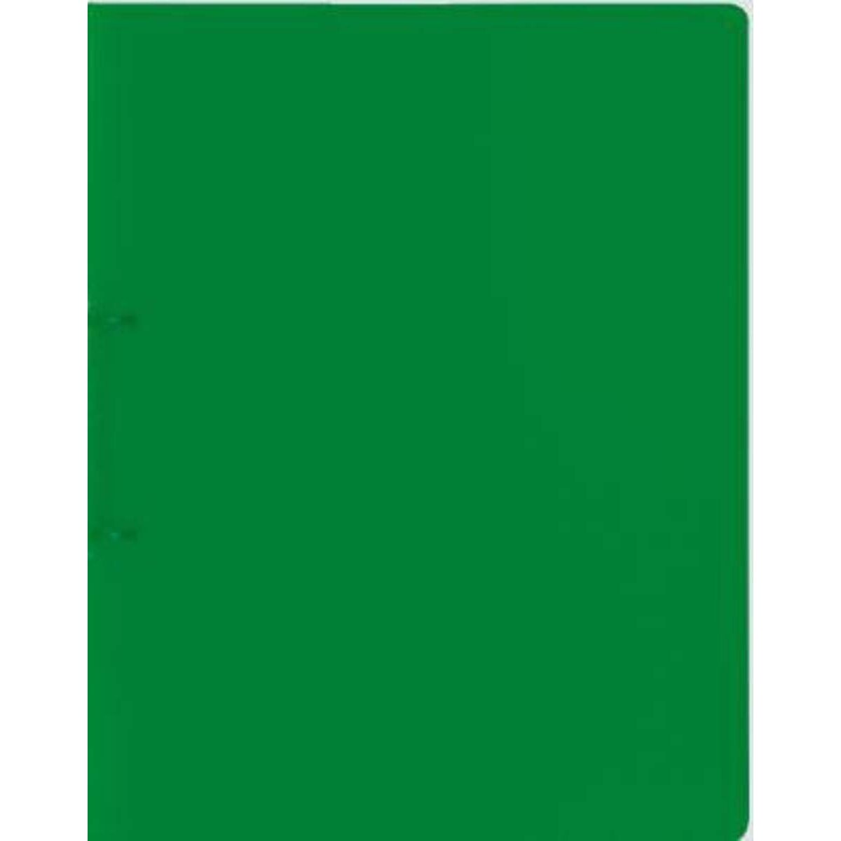 BRUNNEN Ringbuch FACT!pp, grün, A4