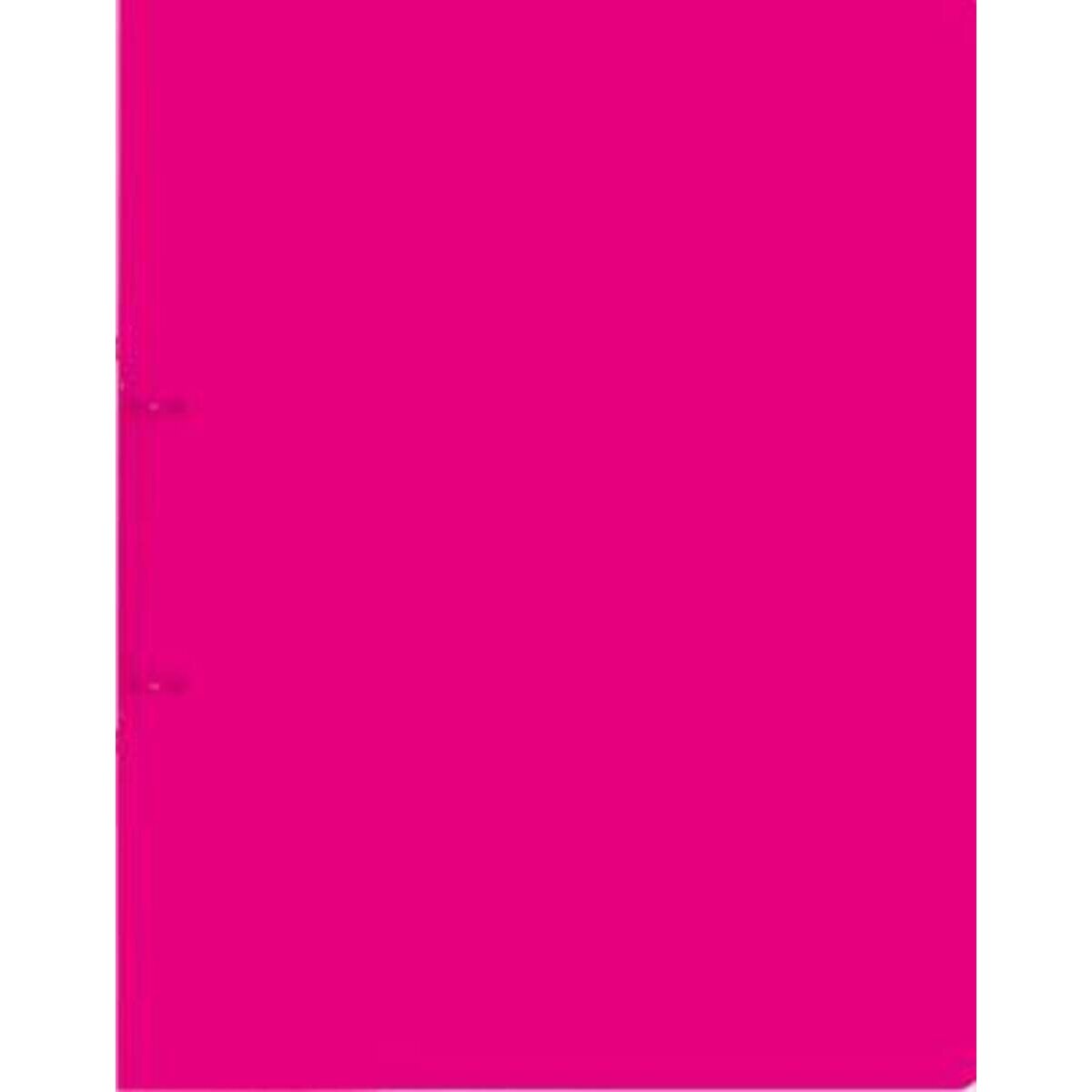 brunnen-ringbuch-factpp-pink-a4-0D19259F1.jpg
