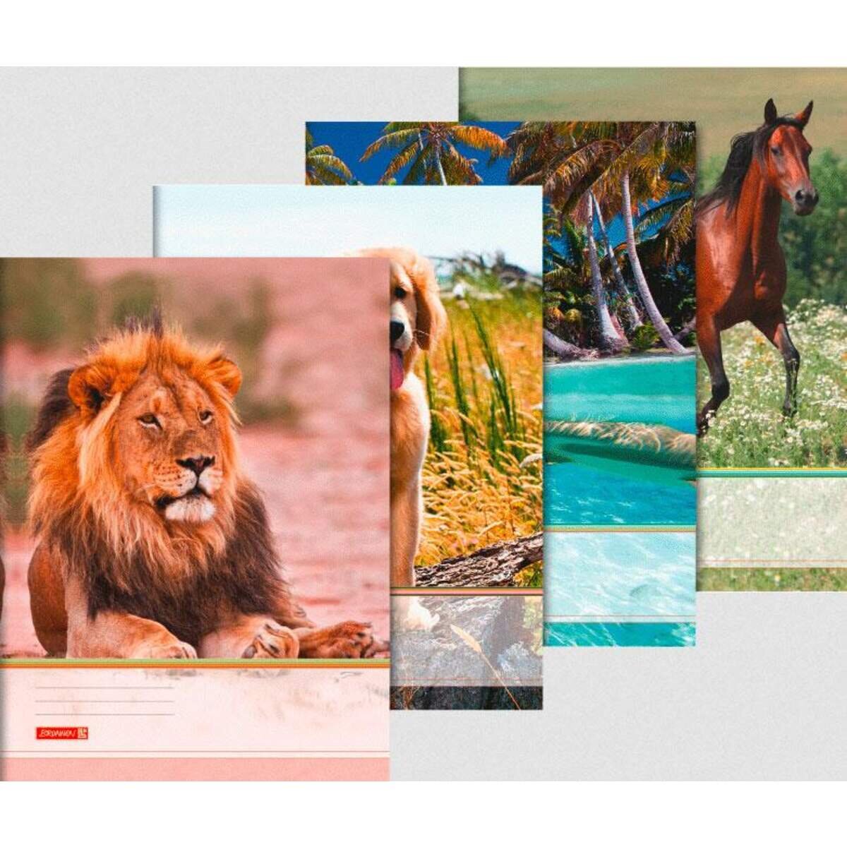 BRUNNEN Sammelmappe A3 Tiere, sortiert: 1 Stück, 4-fach