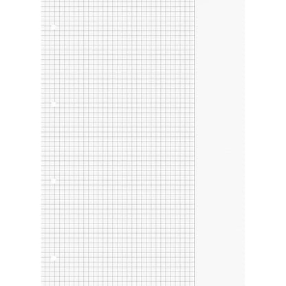 BRUNNEN Schulblock A4 kariert, mit Rand, Lineatur 26