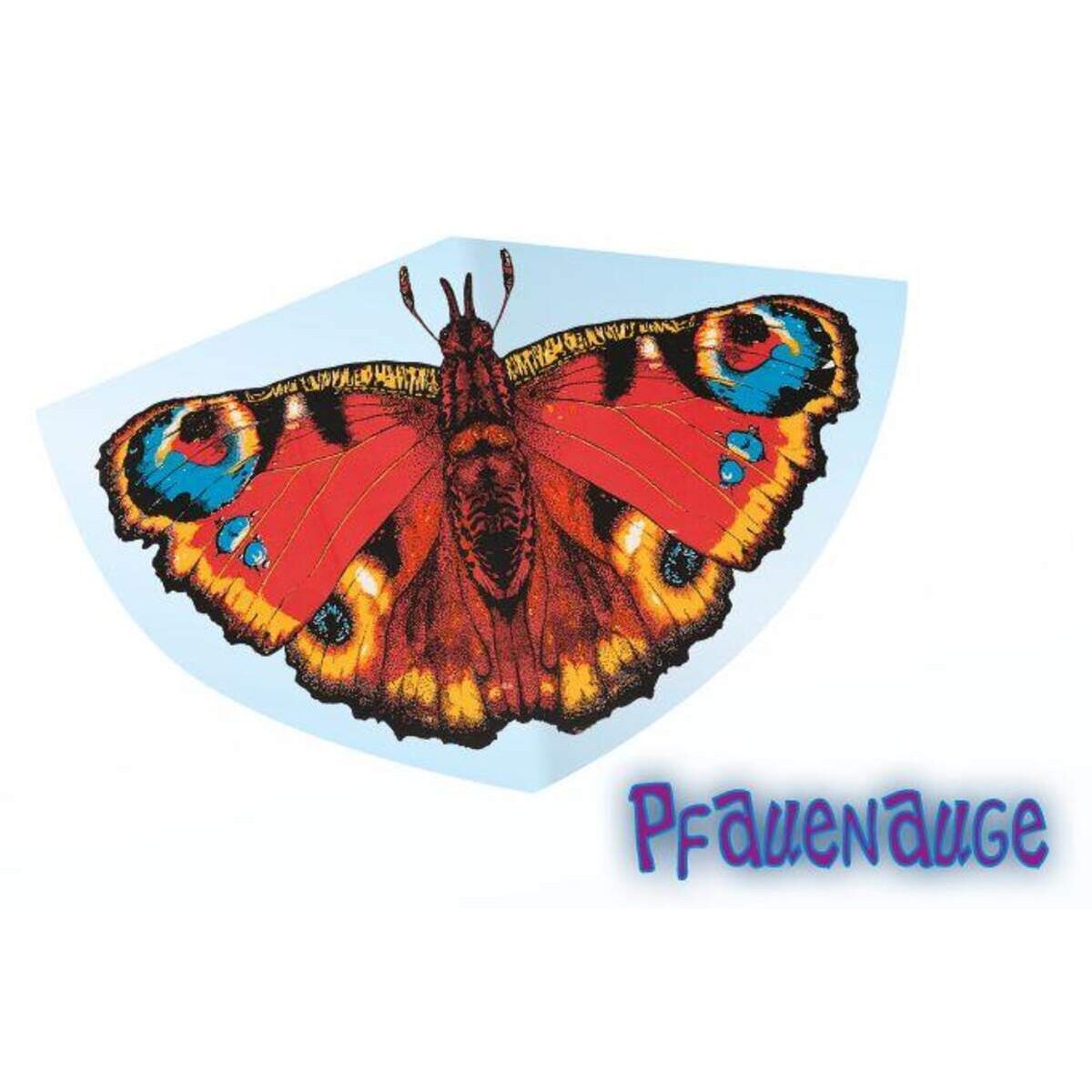 guenther-kinderdrache-pfauenauge-92-x-C18BD99C1.jpg