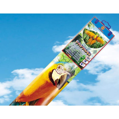 guenther-kinderdrachen-papgei-67CF0E2C2.jpg