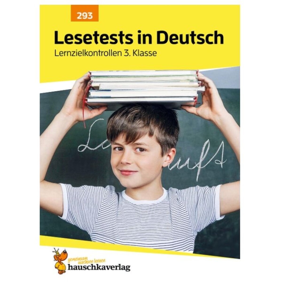 Hauschka Verlag 293 Lesetests in Deutsch - Lernzielkontrollen 3. Klasse mit herausnehmbarem Lösungsteil