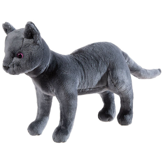 heunec-sdmt-katze-grs-karajan-BA44268A1.jpg