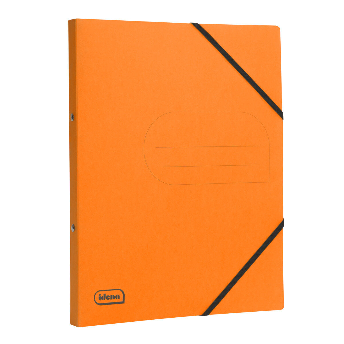 idena-eco-ringbuch-a4--F884468E1.jpg