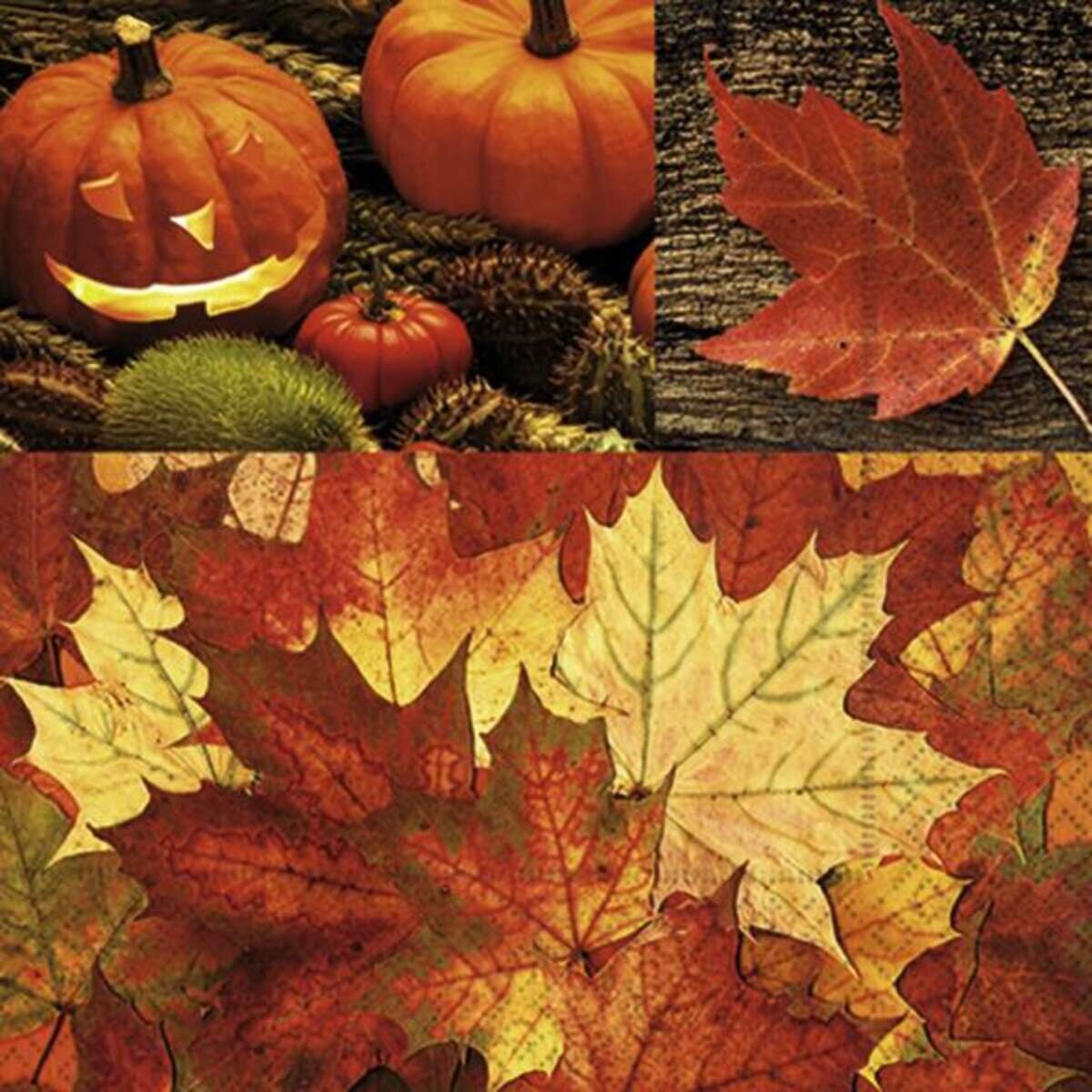 Idena Servietten Herbstmotive 33x33cm, 1 Packung, 6-fach sortiert