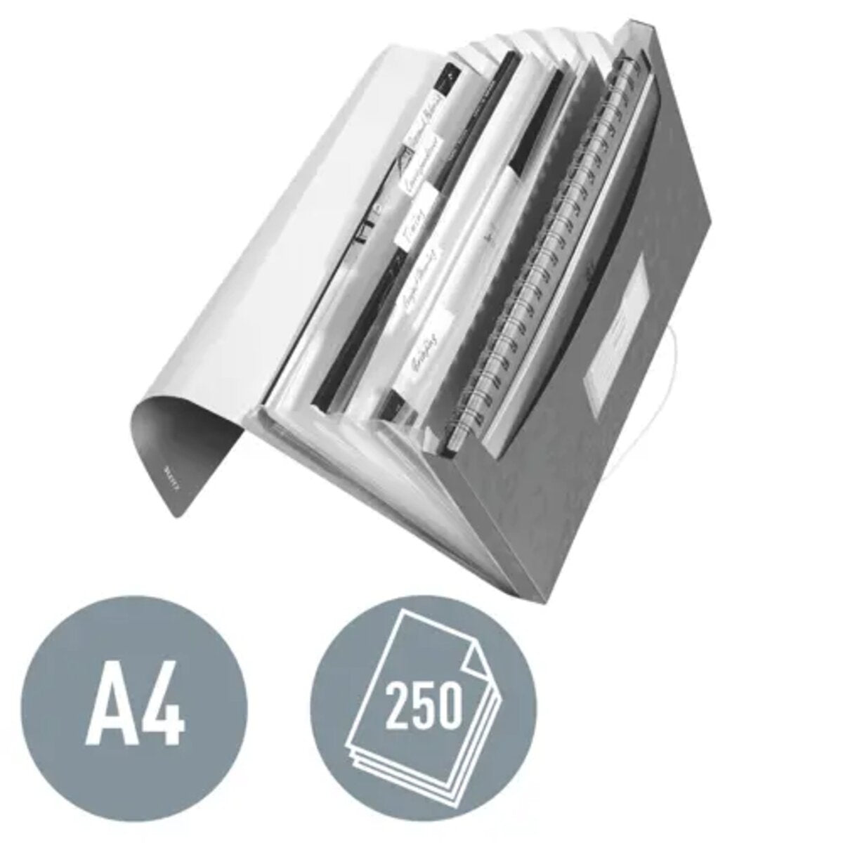 leitz-projektmappe-wow-din-a4-EFB8C8E32.jpg