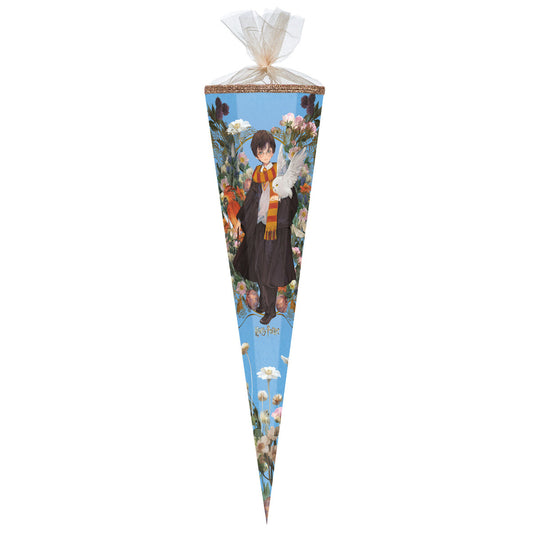 nestler-schultuete-harry-potter-fantasy-F0713B0B1.jpg