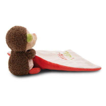nici-myfirst-nici-schmusetuch-igel-7AE3310D6.jpg