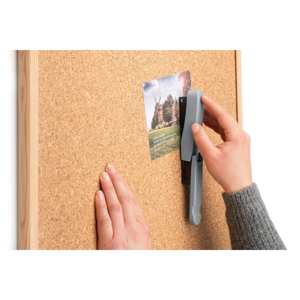 novus-b-10-professional-colorid-28B2CBEE5.jpg