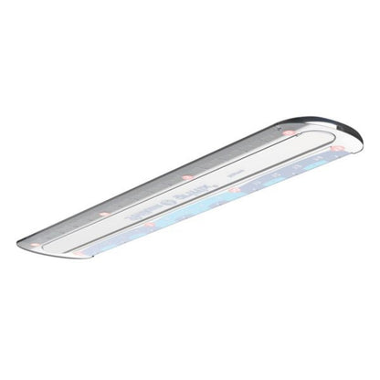 pelikan-griffix-lineal-15-cm-10759C5F2.jpg