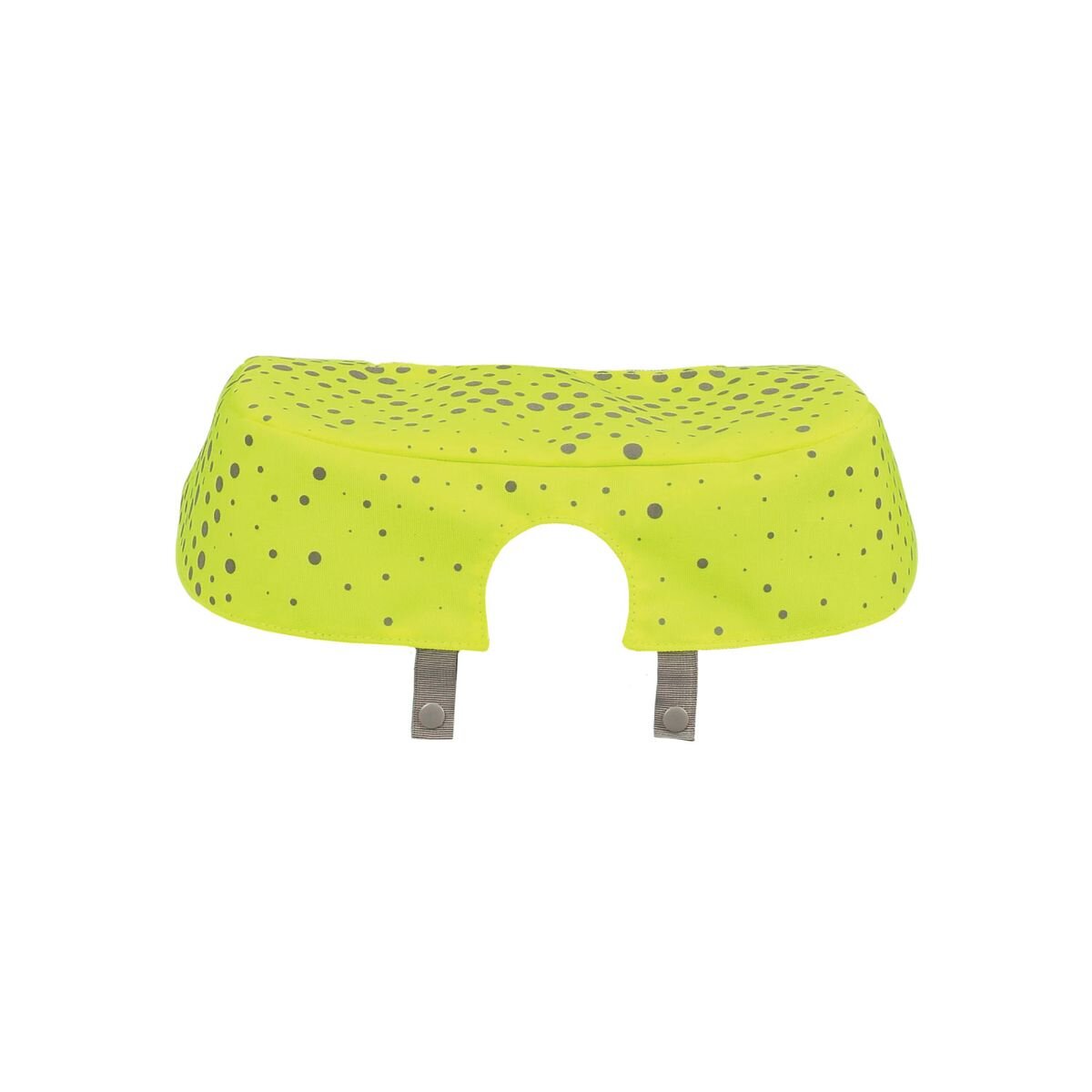 school-mood-neoncap-champion--46EE23571.jpg