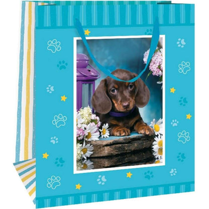 troetsch-3d-geschenktasche-pfoetchen-18-F9F3DE801.jpg