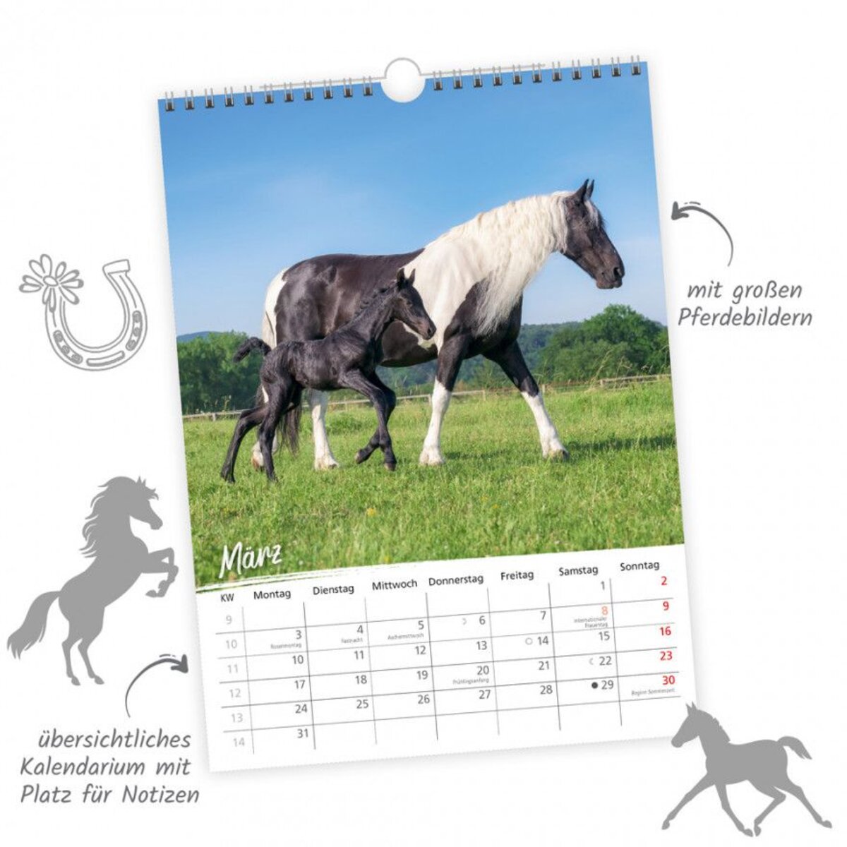 Trötsch Classic-Kalender "Pferde" 2025