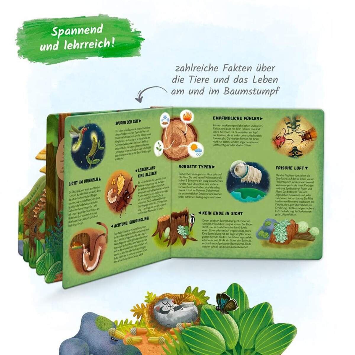 troetsch-fensterbuch-im-baumstumpf-BDC49BA94.jpg