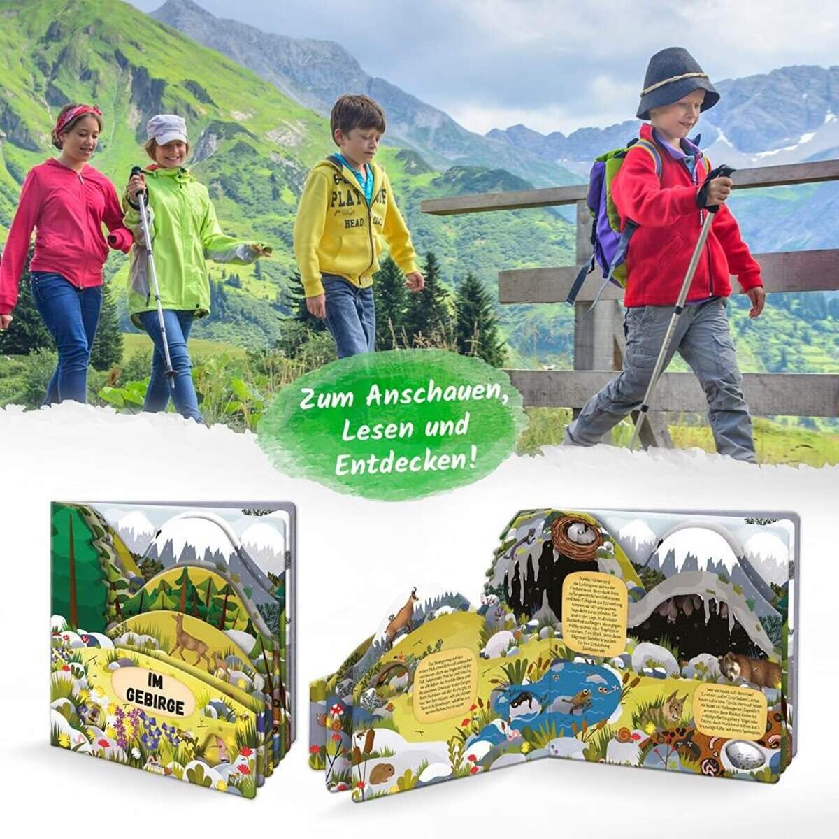 troetsch-fensterbuch-im-gebirge-092B85ED5.jpg
