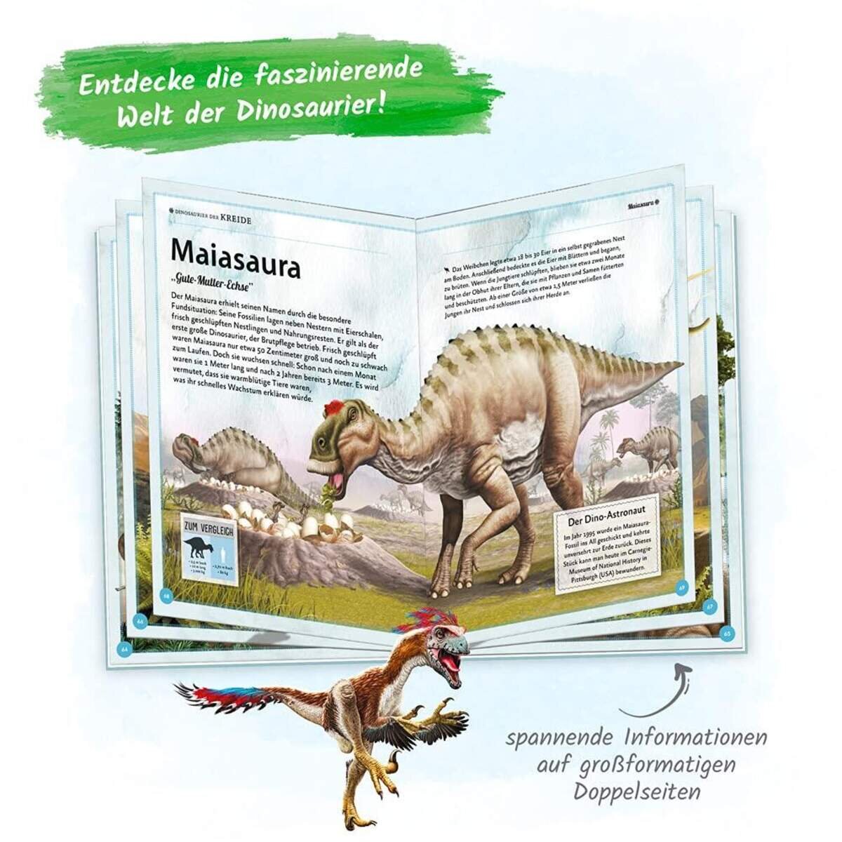 troetsch-kinderbuch-das-grossartige-buch-050CBDC94.jpg