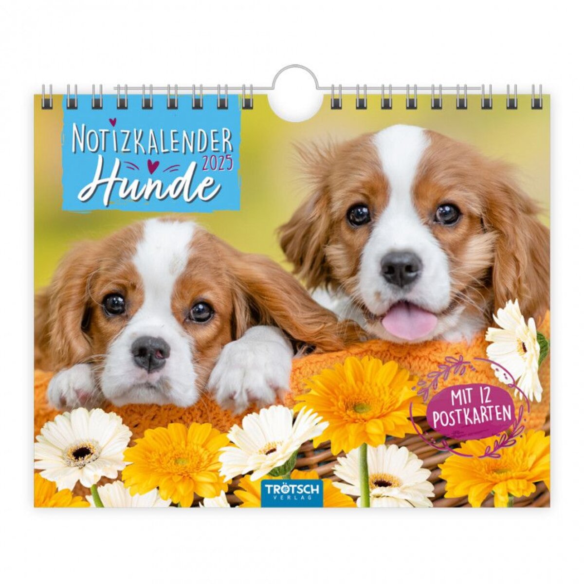 Trötsch Postkartenkalender "Hunde" 2025