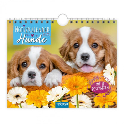 Trötsch Postkartenkalender "Hunde" 2025