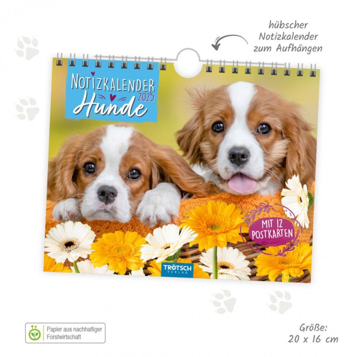 Trötsch Postkartenkalender "Hunde" 2025