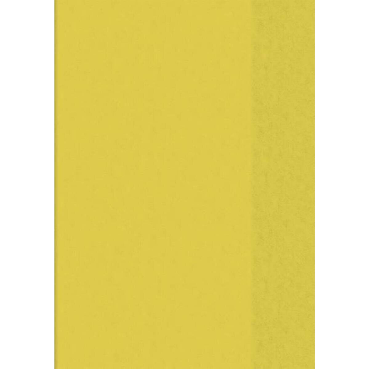 BRUNNEN Hefthülle A4, transparent gelb