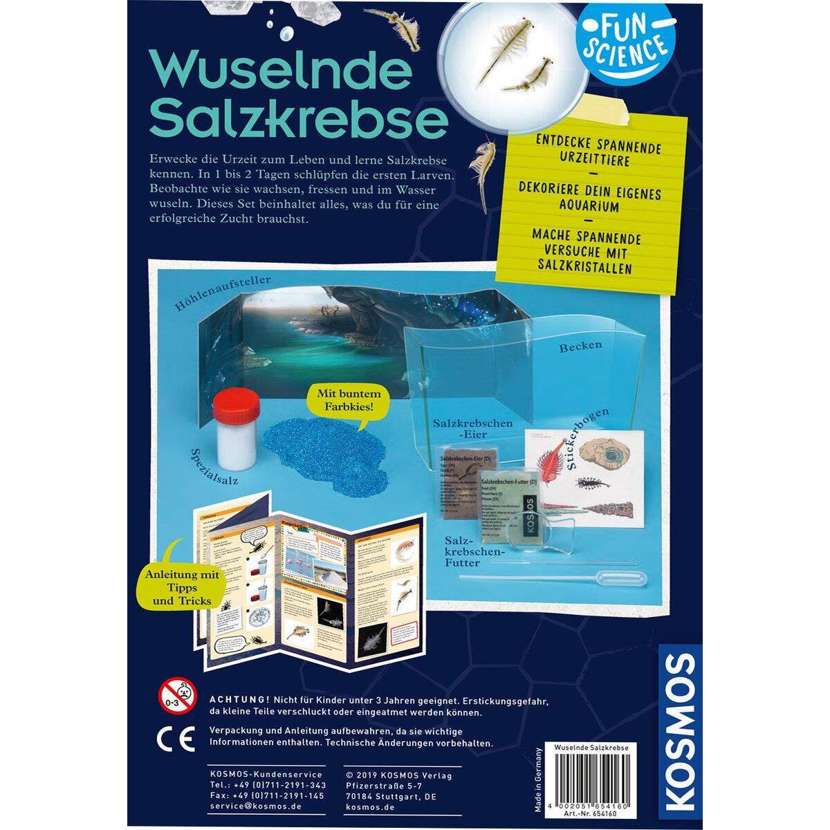 KOSMOS Fun Science Wuselnde Salzkrebse