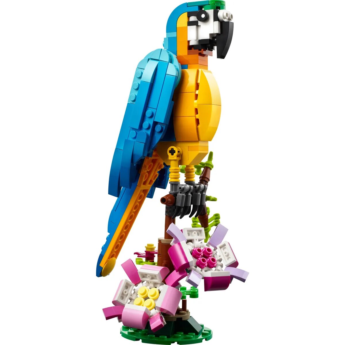 LEGO® Creator 31136 Exotischer Papagei