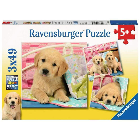 Ravensburger Kinderpuzzle Kuschelige Hündchen, 3x49 Teile