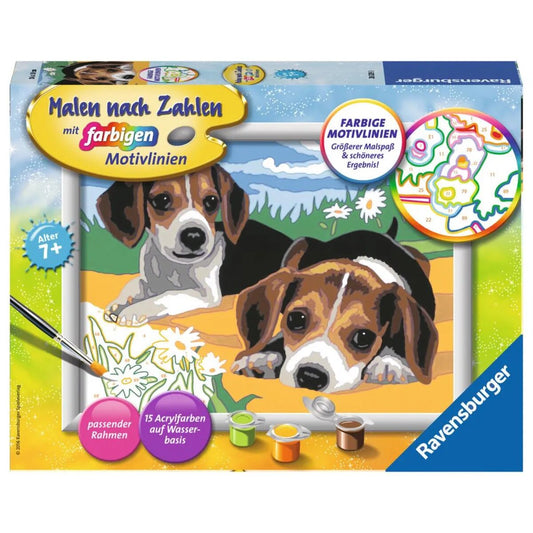 Ravensburger Malen nach Zahlen Jack Russel Welpen