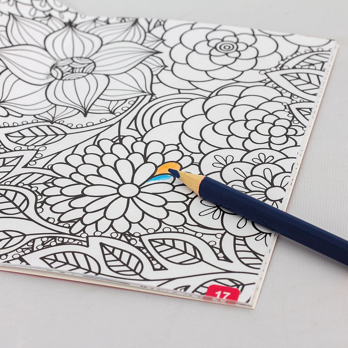 Roth Ausmal-Set+Buntstifte, Einhornportrait